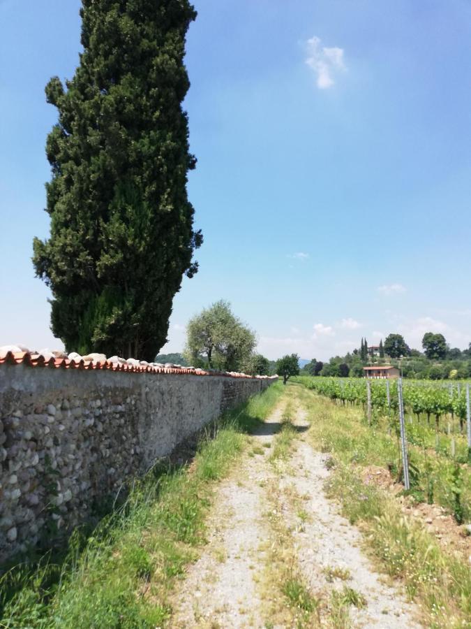 Apartament Franciacorta Flat & Bollicine Passirano Zewnętrze zdjęcie
