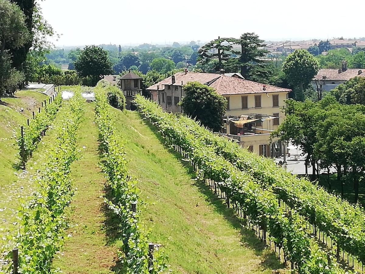 Apartament Franciacorta Flat & Bollicine Passirano Zewnętrze zdjęcie